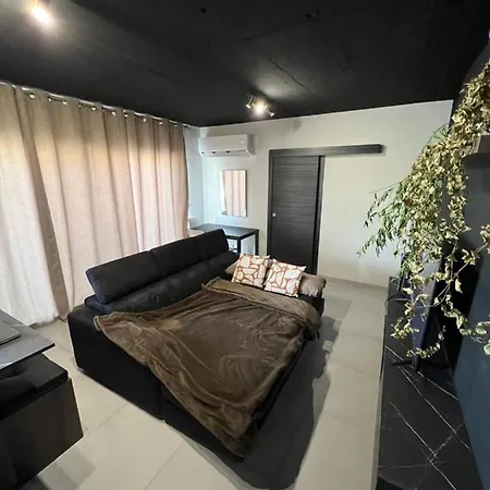 Luxury Penthouse Apartment Pieta